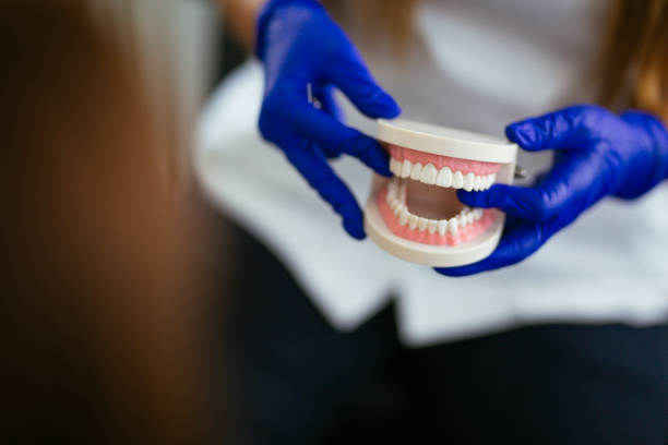  Salem, SD Holistic Dental Services Pros